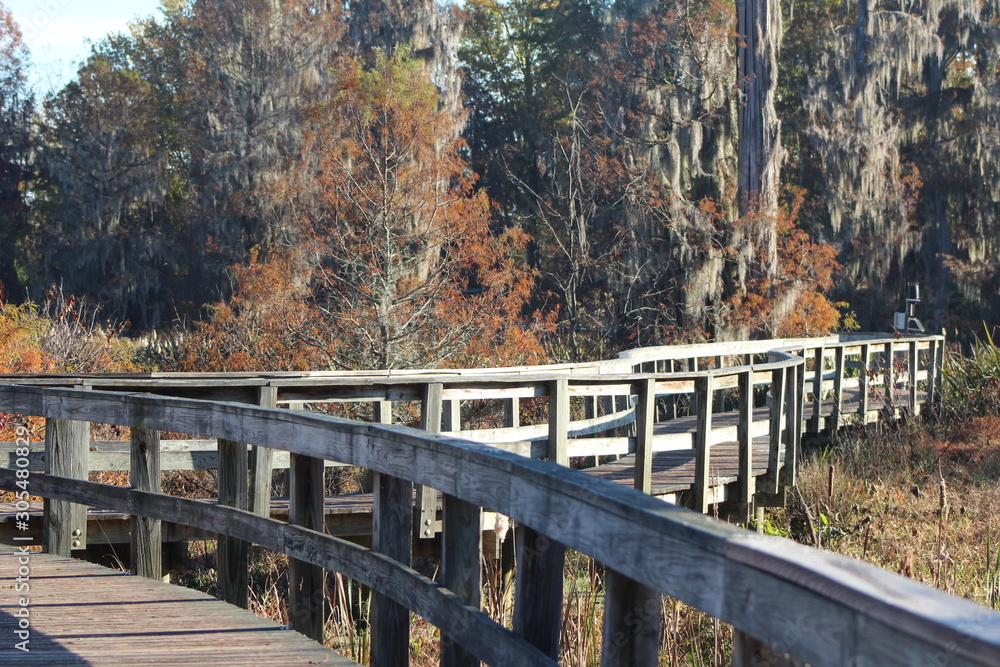 bridge over the swampy land