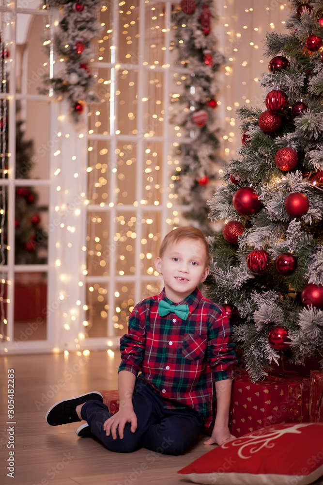 Boy in a checkered shirt and tie butterfly sitting near by Christmas tree. Boy in a checkered shirt and tie butterfly sitting near by Christmas tree.