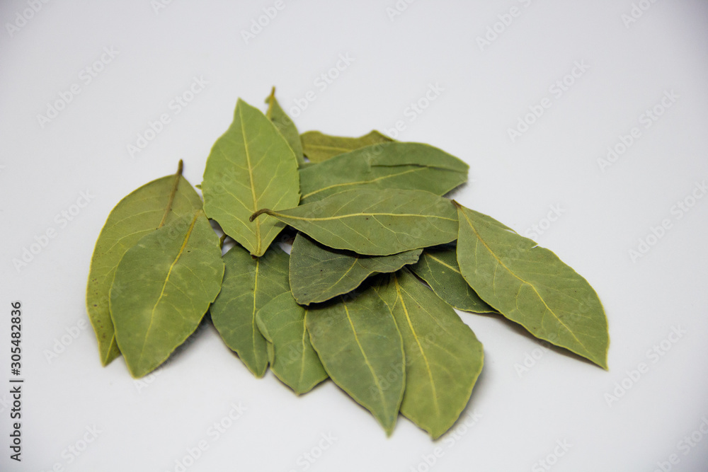 Obraz premium bay leaf on a white background