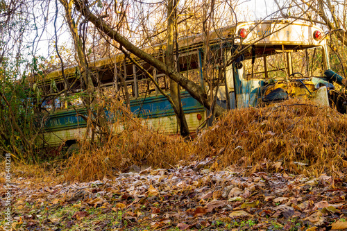A rusting bus abandoned in woods along a trail