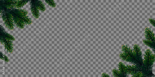 Green Christmas tree branches