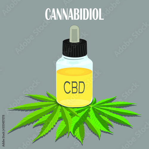 The formula of hemp CBD. Structural model of the molecules of cannabidiol and tetrahydrocannabinol. Medicinal cannabis. Medical marijuana, cannabinoids and health. Vector