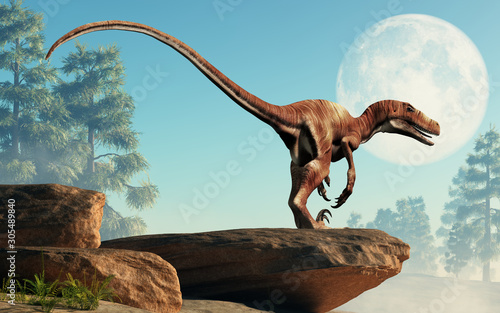 Deinonychus is a theropod dinosaur, a cousin of velociraptor, that lived during the Cretaceous. Depicted featherless on a cliff with the moon behind. 3D Rendering photo