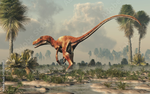 Fotografía Deinonychus is a theropod dinosaur, a cousin of velociraptor, that lived during the Cretaceous