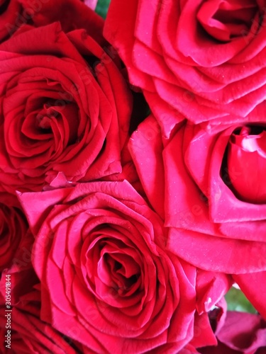 nice bouquet of roses on a red background for 8 of march  birthday  holiday  mother s day  valentine day  love  wedding  anniversary  romantic