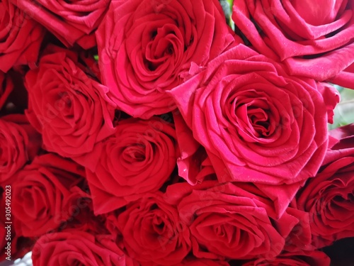 red roses background for valentines day  wedding  anniversary  celebration