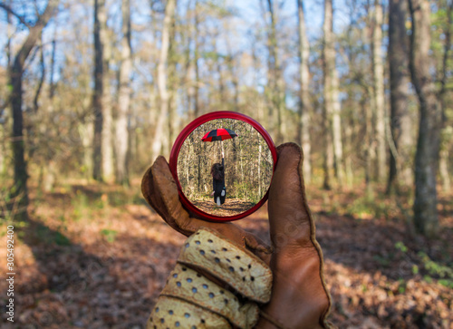 Photography Hand holds a circular polarizing filter on autumn landscape background