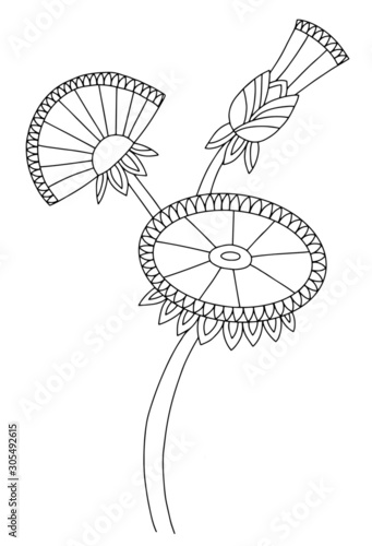 Ornamental dandelion flowers  hand drawn  line art