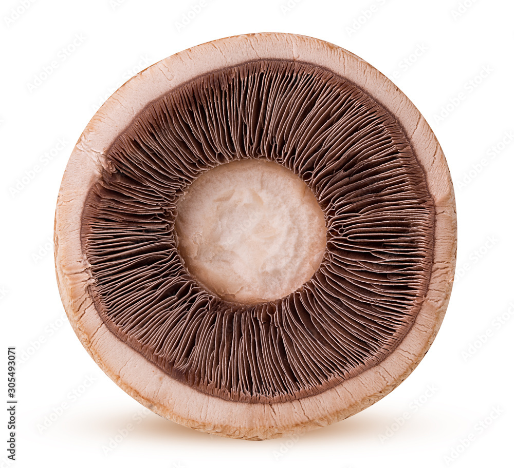 Mushroom champignon cut in half Mushroom champignon cut in half