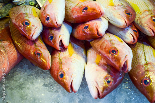 Close up fresh tropical fishes on the supermarket counter