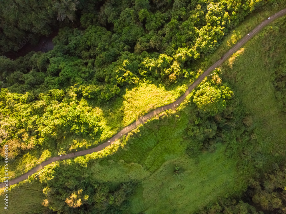 Aerial view of campuhan ridge walk at sunset near Ubud, Indonesia. Aerial view of campuhan ridge walk at sunset near Ubud, Indonesia.