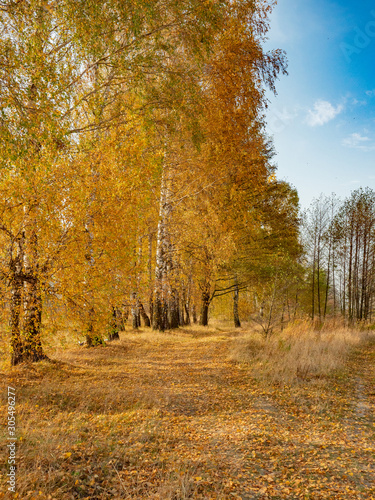 Autumn landscape. The nature of Ukraine