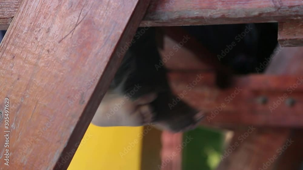 child with dirty feet