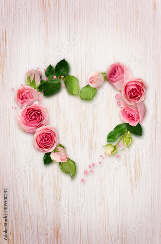 Pink rose flowers, buds and...