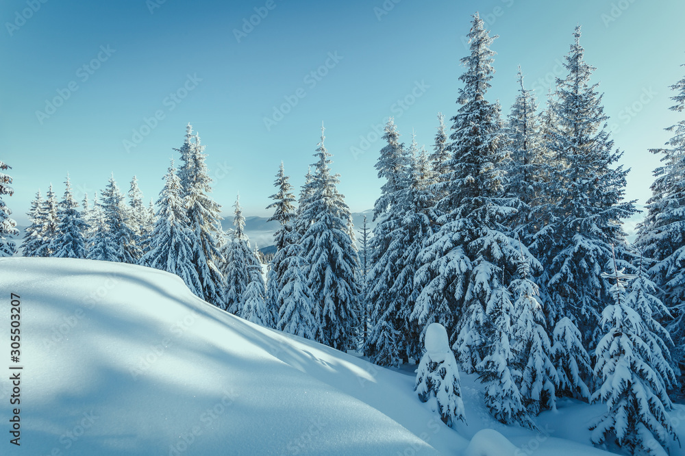 Naklejka premium Wonderful Wintry Landscape at mountains. Frosty morning with Perfect Blue sky. Amazing Alpine Highlands in winter. Impressive picture of wild area. Awesome nature background. Winter holiday concept.