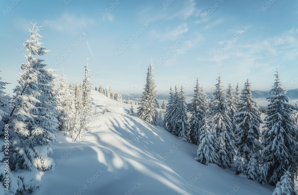 Wonderful wintry landscape. Winter mountain forest. frosty trees under warm sunlight. picturesque nature scenery. creative artistic image. Nature background. Christmas concept. for holiday postcard Wonderful wintry landscape. Winter mountain forest. frosty trees under warm sunlight. picturesque nature scenery. creative artistic image. Nature background. Christmas concept. for holiday postcard