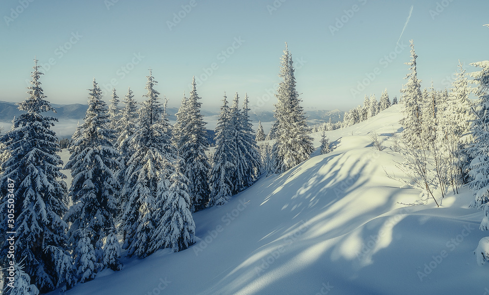 Wonderful wintry landscape. Winter mountain forest. frosty trees under warm sunlight. picturesque nature scenery. creative artistic image. Nature background. Christmas concept. for holiday postcard