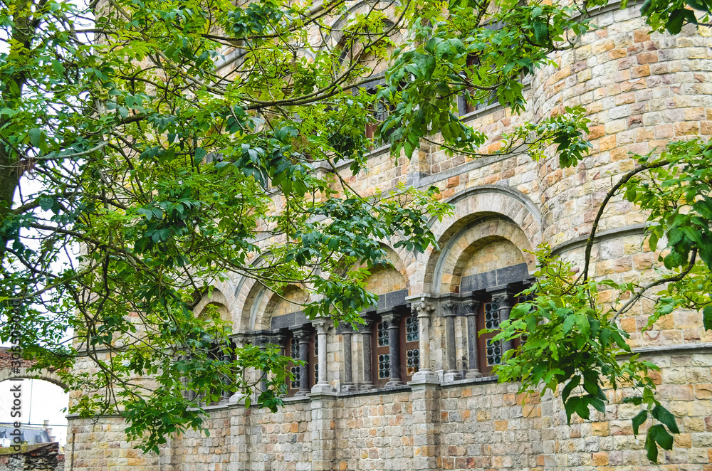 Fototapeta premium Green Tree Branches with Castle in Background