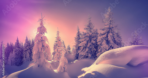 Fantastic Winter landscape. Majestic sunset in the winter forest in alps. Sunlight sparkling in the snow. Scenic image of fairy-tale woodland in sunlit during Pink sunset. Christmas background © jenyateua