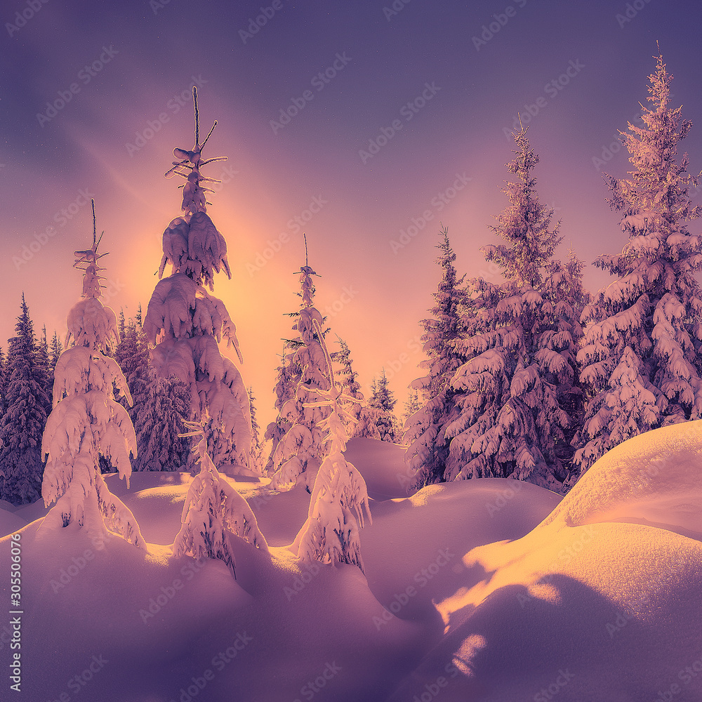 Beautiful lone snow covered tree  Winter trees, Winter scenery, Winter  wallpaper
