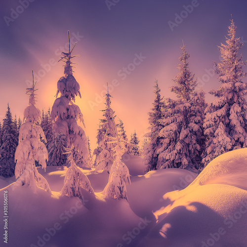 Beautiful winter morning with snow covered trees during sunset. Majestic white spruces glowing by sunlight. Wonderful Alpine Scenery. Awesome Alpine winter Landscape. Wonderful nature background. © jenyateua