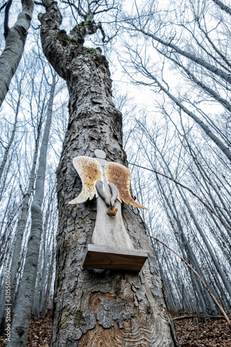 Symbolic angel on the tree, Strazov Mountains, Slovakia