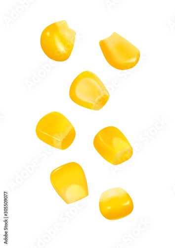 Set of corn kernels on a white background, canned vegetables, vegetarian food, design for packaging. Vector illustration.