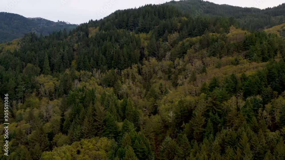 Drone flies towards forest growing on a hill Drone flies towards forest growing on a hill