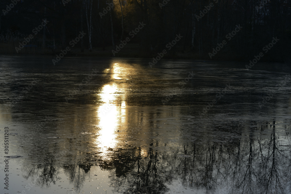 reflection of trees in water, sweden reflection of trees in water, sweden