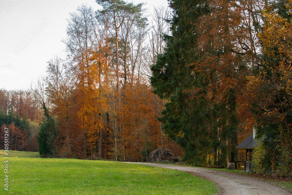 Fototapeta premium Herbst