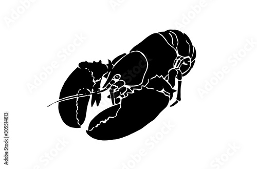 Graphical lobster isolated on white background, vector illustration,sea-food silhouette