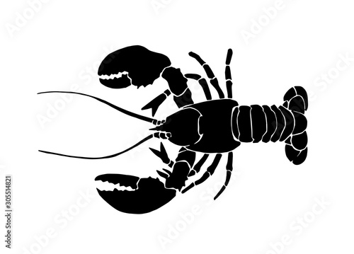 Graphical lobster isolated on white background, vector illustration,sea-food silhouette