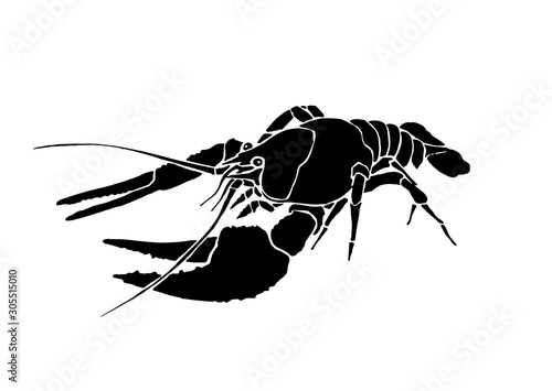 Graphical lobster isolated on white background, vector illustration,sea-food silhouette