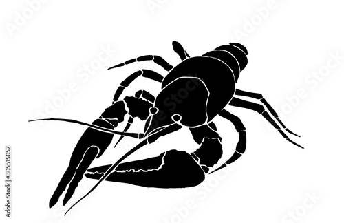 Graphical lobster isolated on white background, vector illustration,sea-food silhouette