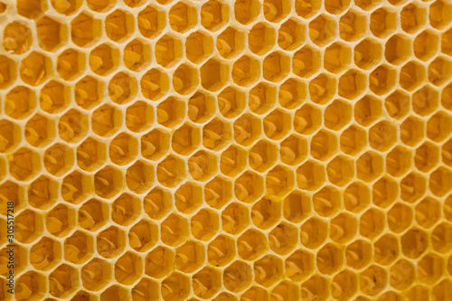 Honeycomb with honey. macro shot.