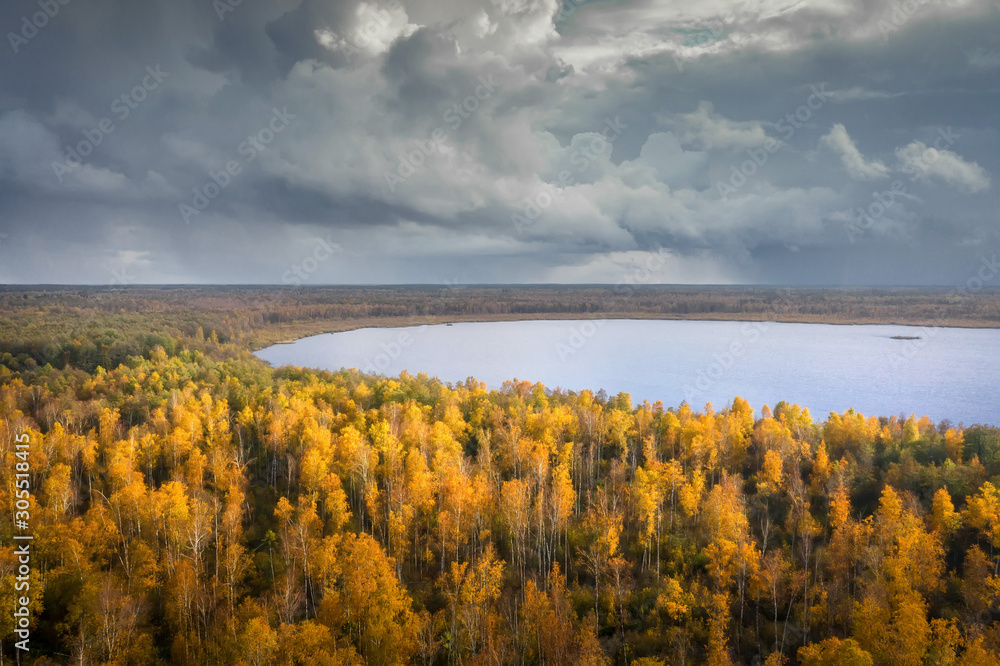 Autumn nature landscape aerial view. Scenic yellow trees on lake shore in october view from above. Fall scene