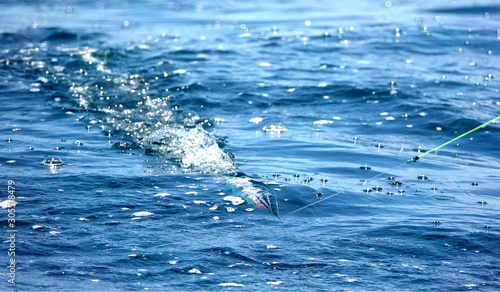 lure working in water leaving a bubble trail