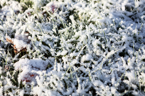 Close up view of frosted green grass, background