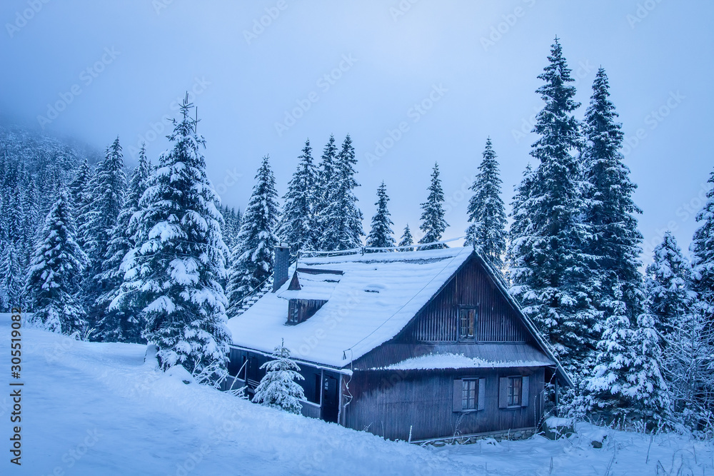 Wooden house in winter mountains. Village house on winter ski resort. Snowy mountain forest. Beautiful frosty trees
