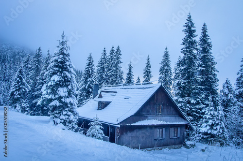 Wooden house in winter mountains. Village house on winter ski resort. Snowy mountain forest. Beautiful frosty trees © dzmitrock87