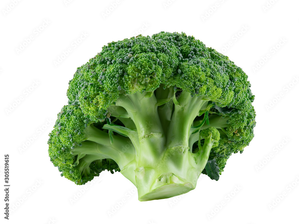 Green broccoli isolated on white background with copy space for text or images. Edible vegetable with large flowering head. Side view. Close-up.
