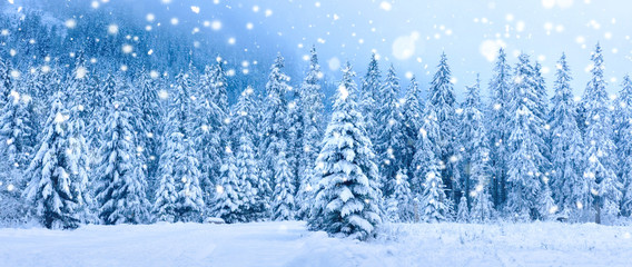 Christmas holiday background. Winter scene. Snowfall in winter forest