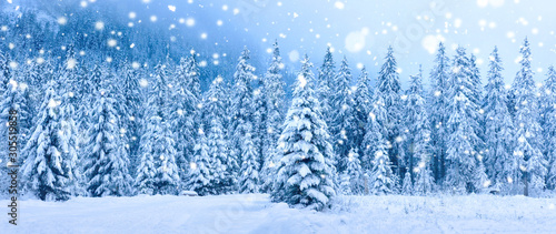 Christmas holiday background. Winter scene. Snowfall in winter forest © dzmitrock87