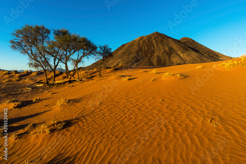 Red sand dune and black rocky kopje
