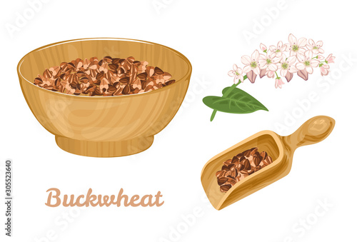 Buckwheat brown groats in a wooden bowl and spoon isolated on a white background. Vector illustration of healthy food and buckwheat flower in cartoon simple flat style.