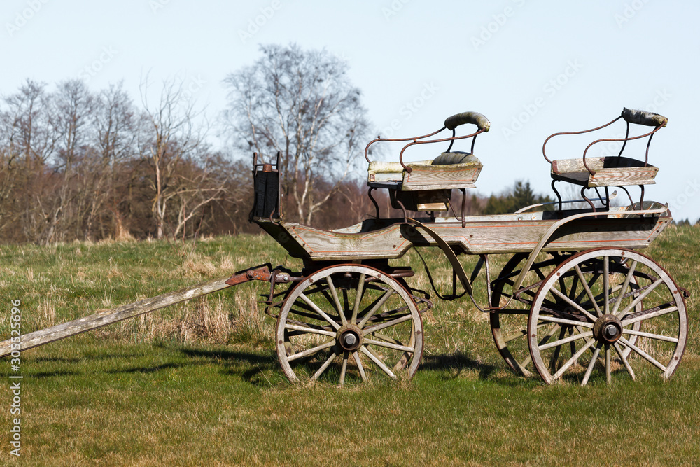 Antique Wooden Carriage Wagon