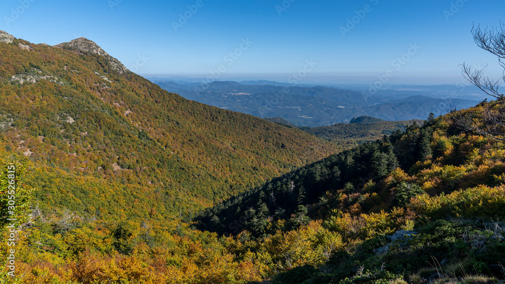 Views of Natural park of Montseny in autumn.