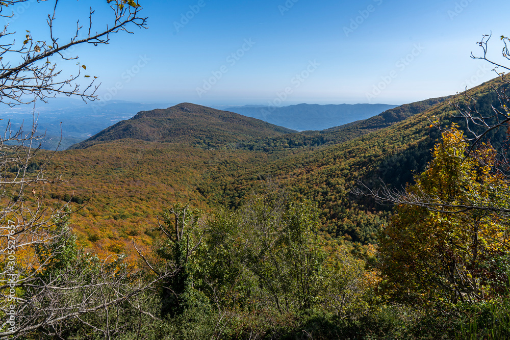 Views of Natural park of Montseny in autumn.