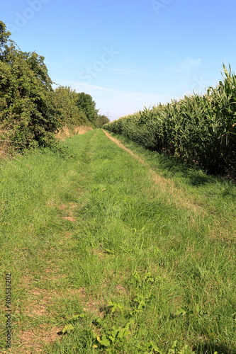 road in a field