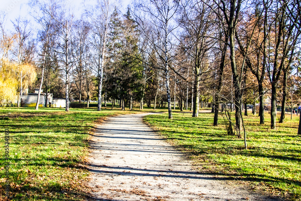 A road way in the park with trees. Ukraine.  A city Sumy.